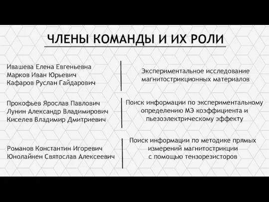 ЧЛЕНЫ КОМАНДЫ И ИХ РОЛИ Ивашева Елена Евгеньевна Марков Иван Юрьевич Кафаров