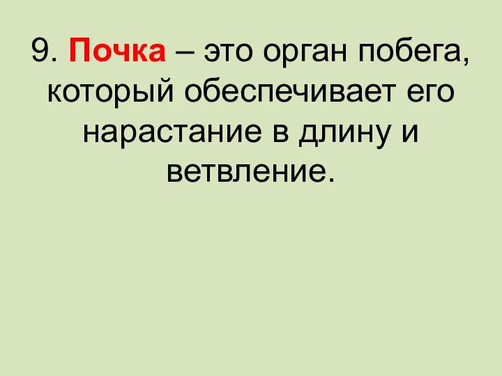 9. Почка – это орган побега, который обеспечивает его нарастание в длину и ветвление.