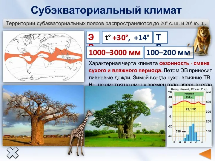 Субэкваториальный климат Территории субэкваториальных поясов распространяются до 20° с. ш. и 20°