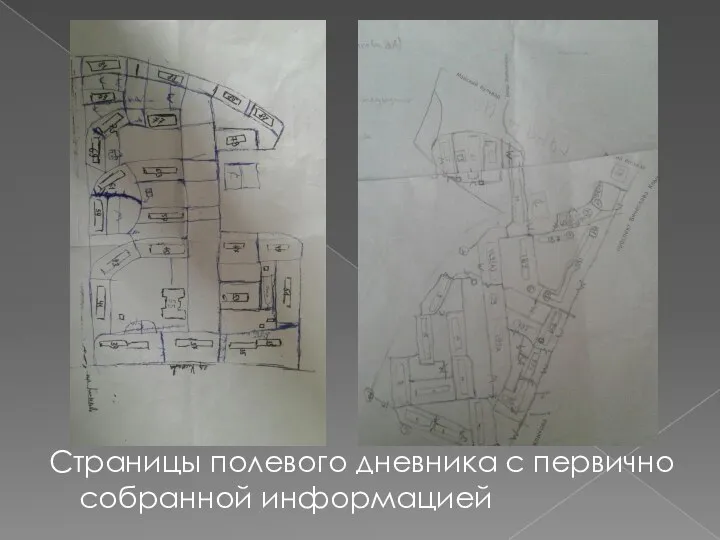 Страницы полевого дневника с первично собранной информацией