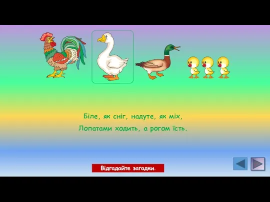 Біле, як сніг, надуте, як міх, Лопатами ходить, а рогом їсть. Відгадайте загадки.