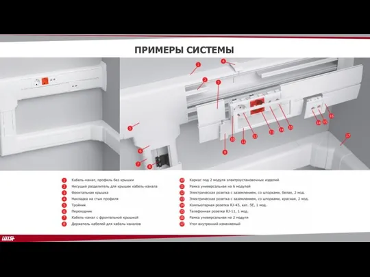 ПРИМЕРЫ СИСТЕМЫ