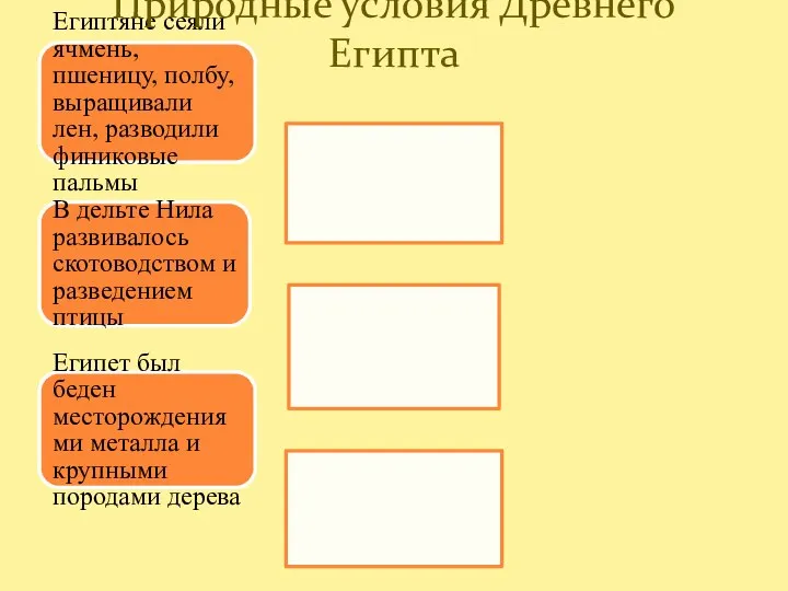 Египтяне сеяли ячмень, пшеницу, полбу, выращивали лен, разводили финиковые пальмы В дельте