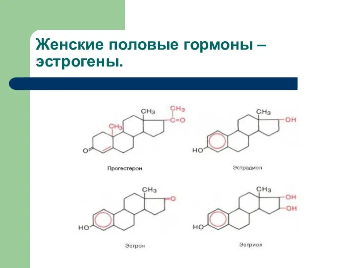 Женские половые гормоны – эстрогены.