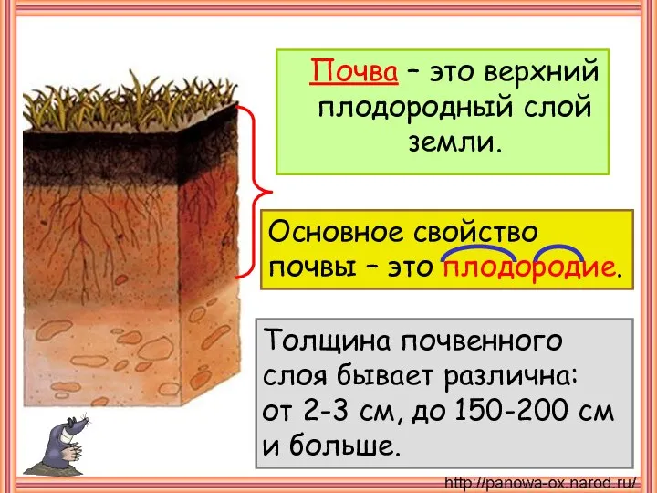 Почва – это верхний плодородный слой земли. Основное свойство почвы – это
