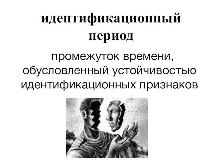 идентификационный период промежуток времени, обусловленный устойчивостью идентификационных признаков