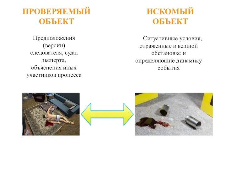 ПРОВЕРЯЕМЫЙ ОБЪЕКТ Ситуативные условия, отраженные в вещной обстановке и определяющие динамику события