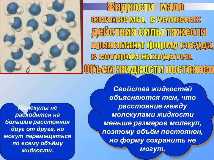 Жидкости мало сжимаемы, в условиях действия силы тяжести принимают форму сосуда, в