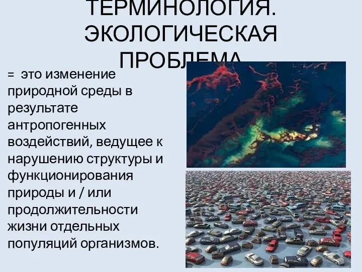 ТЕРМИНОЛОГИЯ. ЭКОЛОГИЧЕСКАЯ ПРОБЛЕМА = это изменение природной среды в результате антропогенных воздействий,