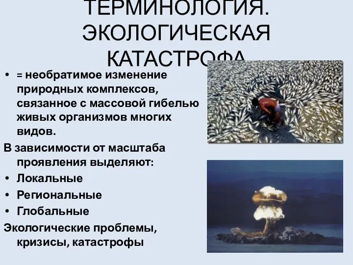 ТЕРМИНОЛОГИЯ. ЭКОЛОГИЧЕСКАЯ КАТАСТРОФА = необратимое изменение природных комплексов, связанное с массовой гибелью