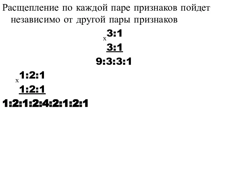 Расщепление по каждой паре признаков пойдет независимо от другой пары признаков х3:1