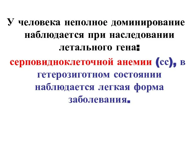 У человека неполное доминирование наблюдается при наследовании летального гена: серповидноклеточной анемии (сс),