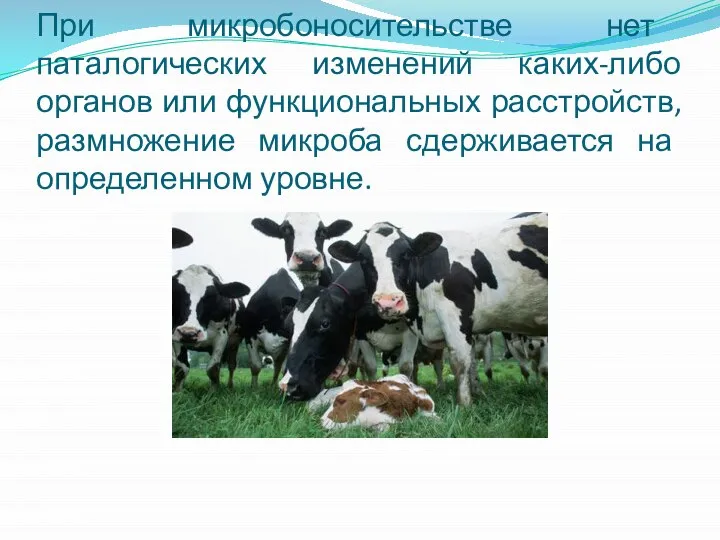 При микробоносительстве нет паталогических изменений каких-либо органов или функциональных расстройств, размножение микроба сдерживается на определенном уровне.