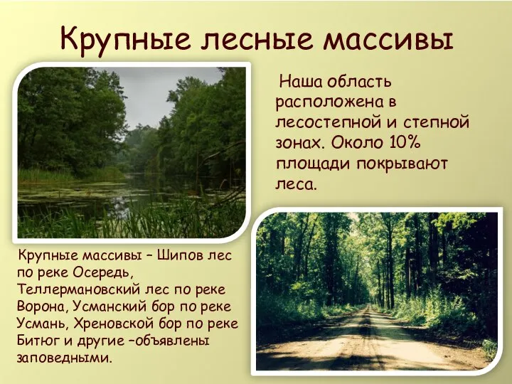 Крупные лесные массивы Наша область расположена в лесостепной и степной зонах. Около