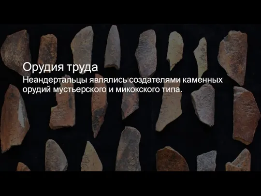 Орудия труда Неандертальцы являлись создателями каменных орудий мустьерского и микокского типа.