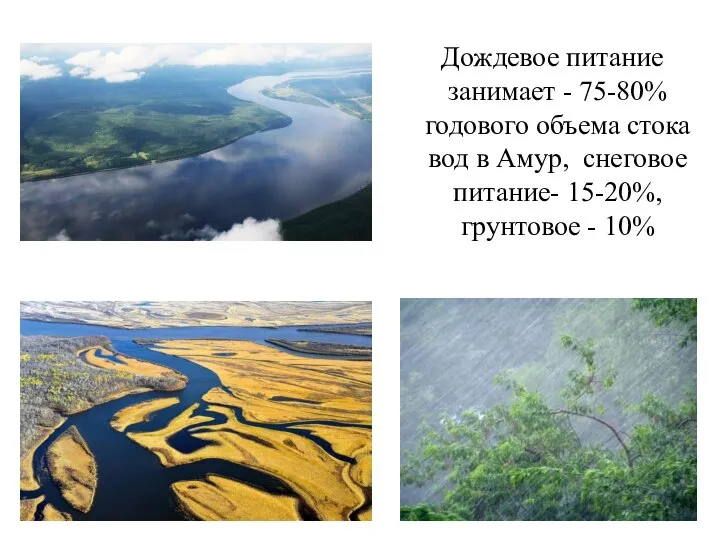 Дождевое питание занимает - 75-80% годового объема стока вод в Амур, снеговое