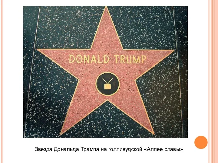 Звезда Дональда Трампа на голливудской «Аллее славы»