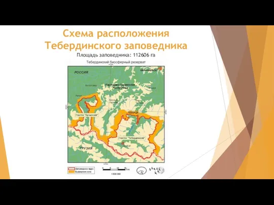 Схема расположения Тебердинского заповедника Площадь заповедника: 112606 га