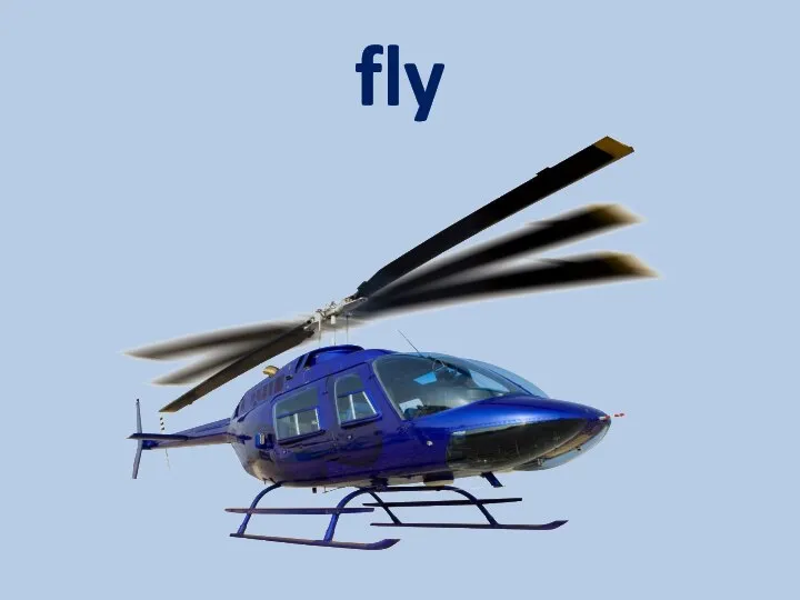 fly