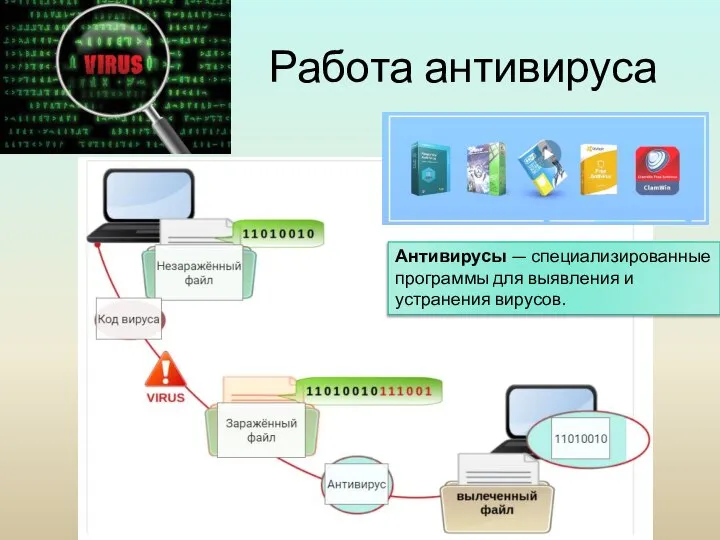 Работа антивируса Антивирусы — специализированные программы для выявления и устранения вирусов.