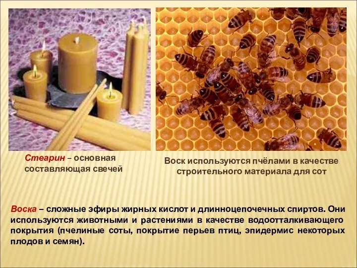Воск используются пчёлами в качестве строительного материала для сот Воска – сложные