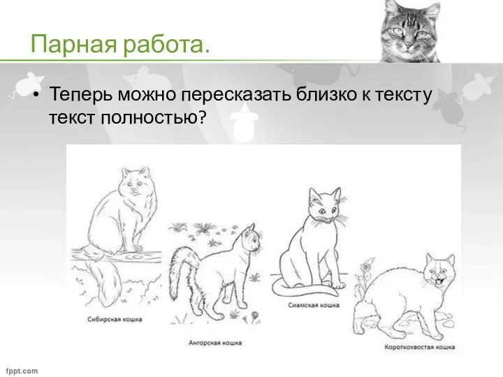 Парная работа. Теперь можно пересказать близко к тексту текст полностью?