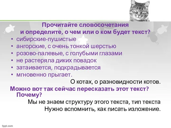 Прочитайте словосочетания и определите, о чем или о ком будет текст? сибирские-пушистые