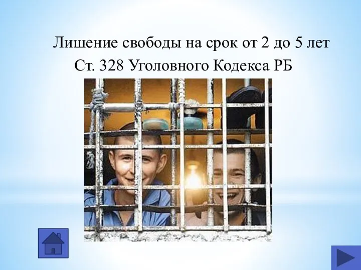 Лишение свободы на срок от 2 до 5 лет Ст. 328 Уголовного Кодекса РБ