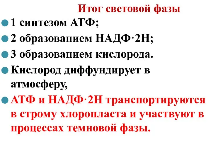 Итог световой фазы 1 синтезом АТФ; 2 образованием НАДФ·2Н; 3 образованием кислорода.