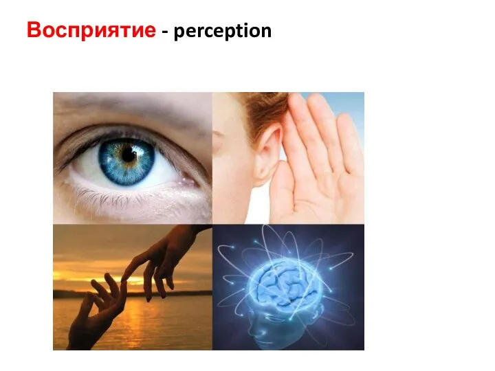 Восприятие - perception