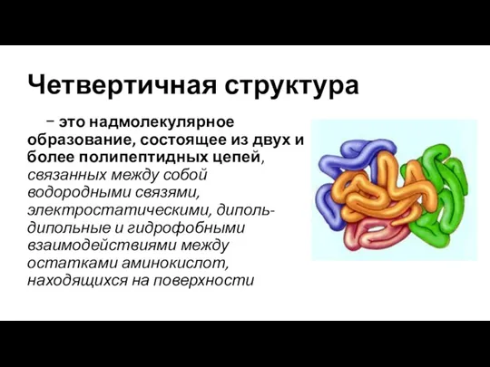 Четвертичная структура − это надмолекулярное образование, состоящее из двух и более полипептидных