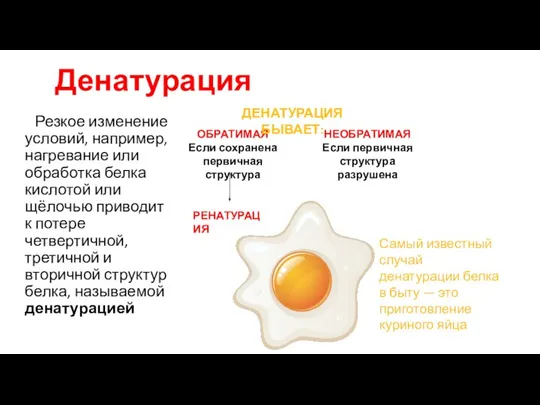 Денатурация Резкое изменение условий, например, нагревание или обработка белка кислотой или щёлочью