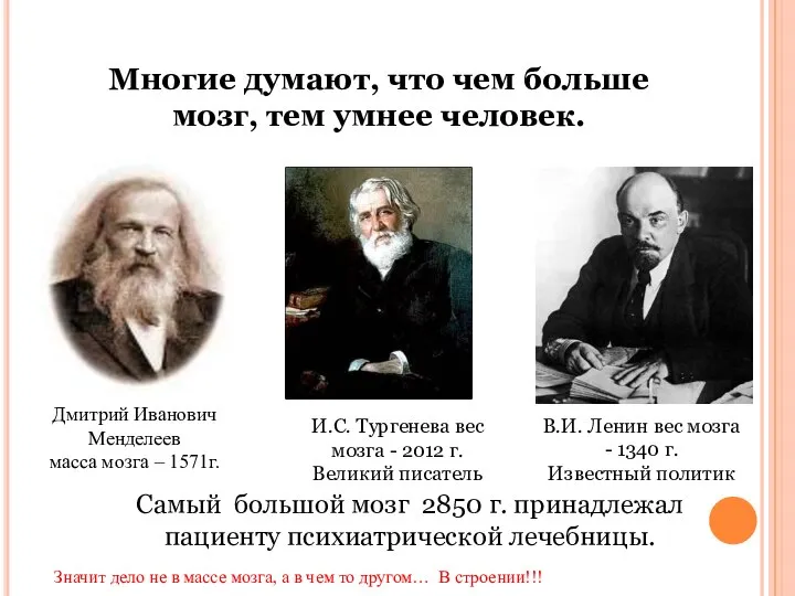 И.С. Тургенева вес мозга - 2012 г. Великий писатель В.И. Ленин вес