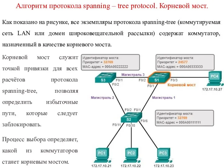 Алгоритм протокола spanning – tree protocol. Корневой мост. Как показано на рисунке,