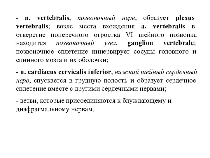 - n. vertebralis, позвоночный нерв, образует plexus vertebralis; возле места вхождения a.