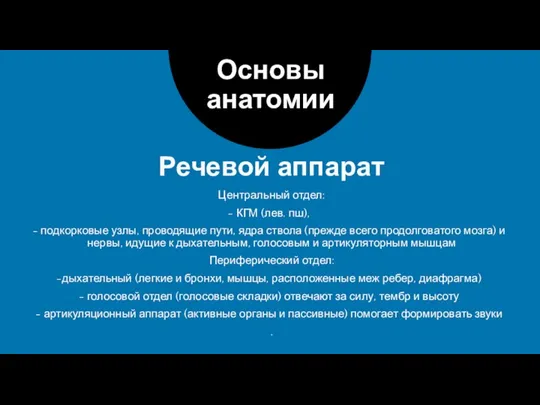 Речевой аппарат Основы анатомии Центральный отдел: КГМ (лев. пш), подкорковые узлы, проводящие