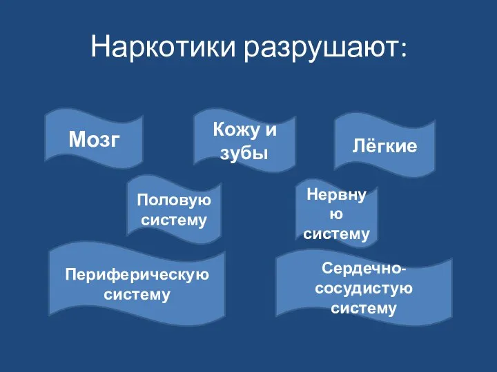 Наркотики разрушают: Мозг Кожу и зубы Лёгкие Половую систему Нервную систему Периферическую систему Сердечно-сосудистую систему