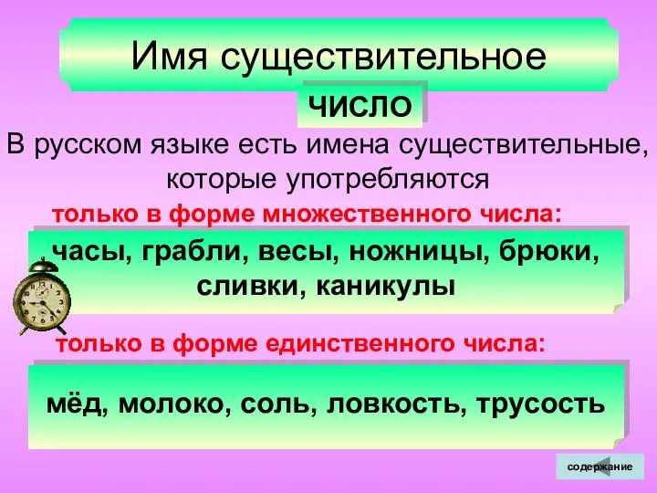 Имя существительное ЧИСЛО В русском языке есть имена существительные, которые употребляются часы,