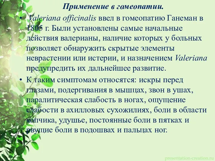 Применение в гомеопатии. Valeriana officinalis ввел в гомеопатию Ганеман в 1805 г.