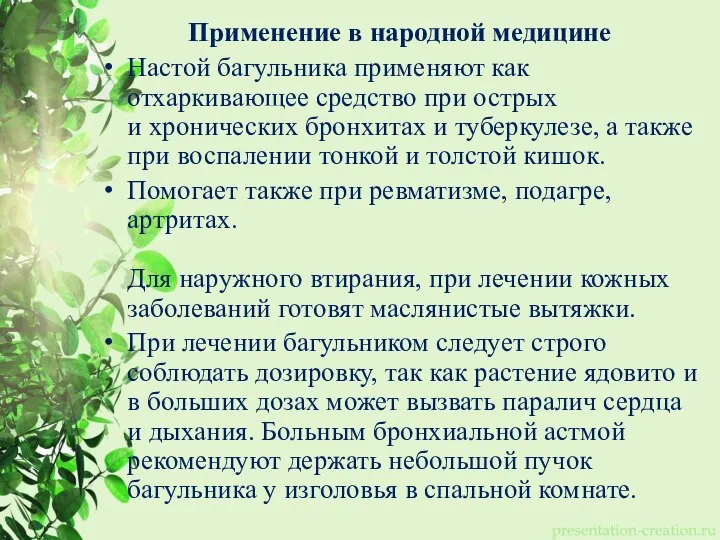 Применение в народной медицине Настой багульника применяют как отхаркивающее средство при острых