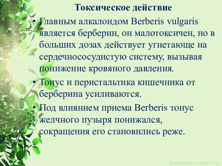 Токсическое действие Главным алкалоидом Berberis vulgaris является берберин, он малотоксичен, но в