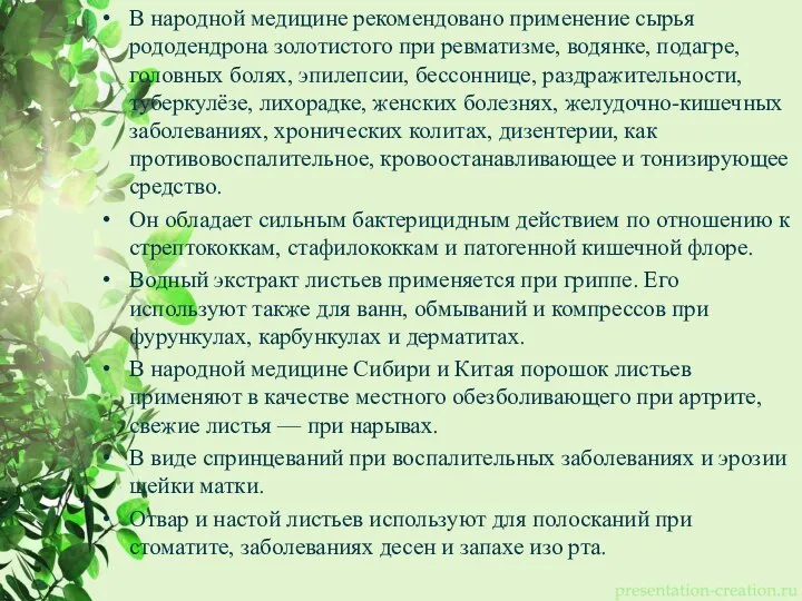 В народной медицине рекомендовано применение сырья рододендрона золотистого при ревматизме, водянке, подагре,