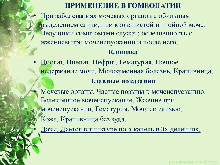 ПРИМЕНЕНИЕ В ГОМЕОПАТИИ При заболеваниях мочевых органов с обильным выделением слизи, при