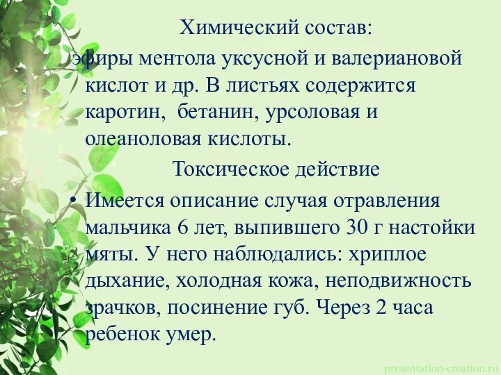 Химический состав: эфиры ментола уксусной и валериановой кислот и др. В листьях