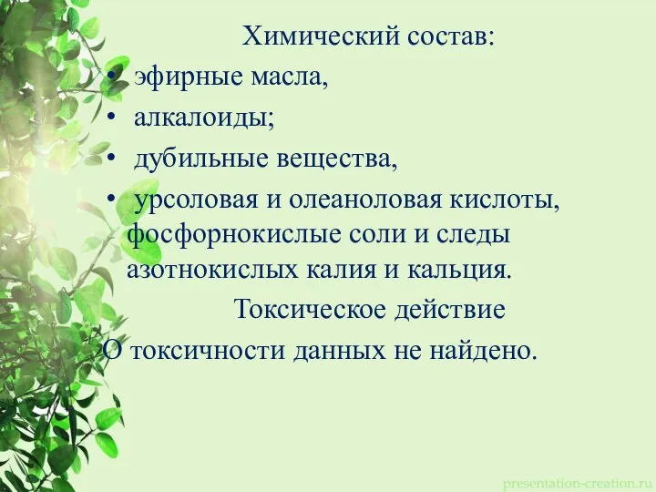 Химический состав: эфирные масла, алкалоиды; дубильные вещества, урсоловая и олеаноловая кислоты, фосфорнокислые