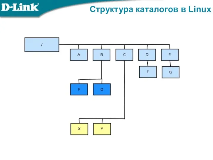 Структура каталогов в Linux