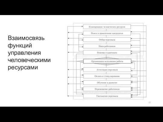 Взаимосвязь функций управления человеческими ресурсами