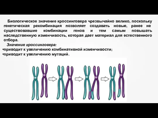 Биологическое значение кроссинговера чрезвычайно велико, поскольку генетическая рекомбинация позволяет создавать новые, ранее