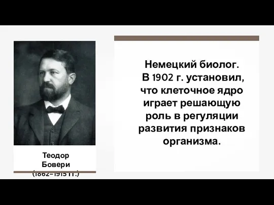 Теодор Бовери (1862–1915 гг.) Немецкий биолог. В 1902 г. установил, что клеточное