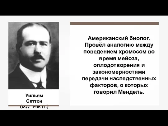 Уильям Сеттон (1877–1916 гг.) Американский биолог. Провёл аналогию между поведением хромосом во